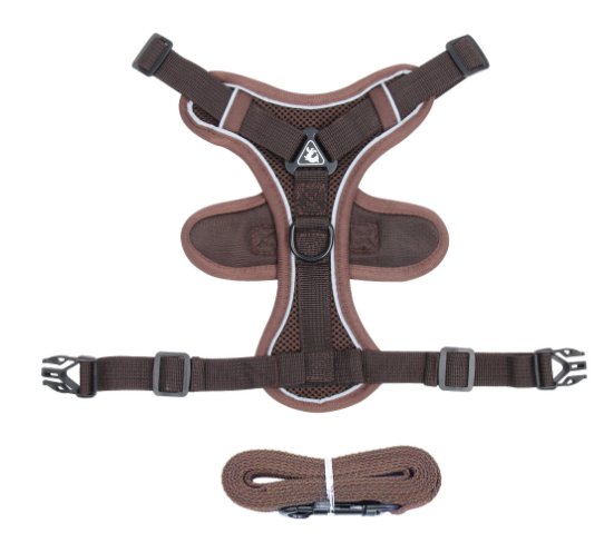 Nocturne Reflective Cat Harness & Leash Set