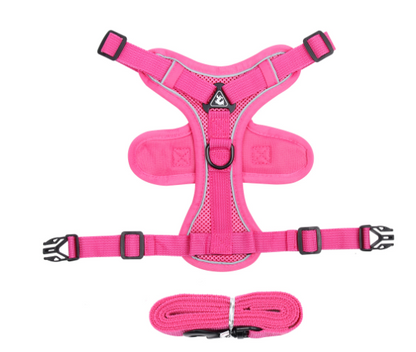 Nocturne Reflective Cat Harness & Leash Set