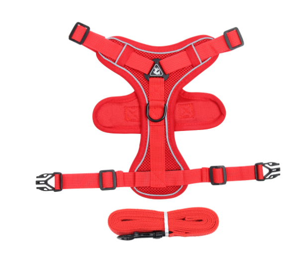 Nocturne Reflective Cat Harness & Leash Set