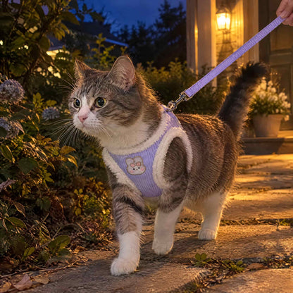 Cat Harness & Leash Set